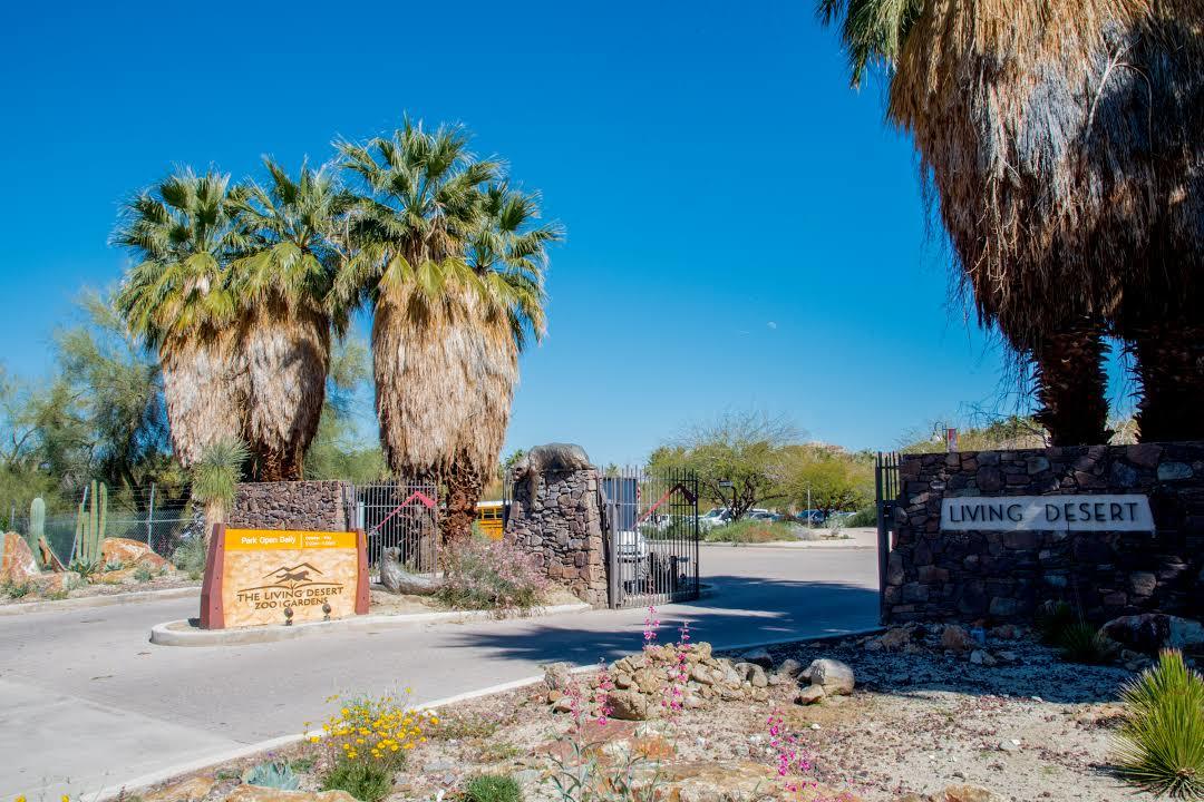 The Living Desert Zoo and Gardens